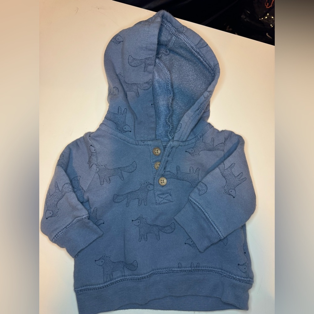 Carter's Blue Fox Pattern Hoodie